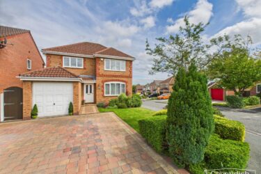 Forest Walk, Buckley